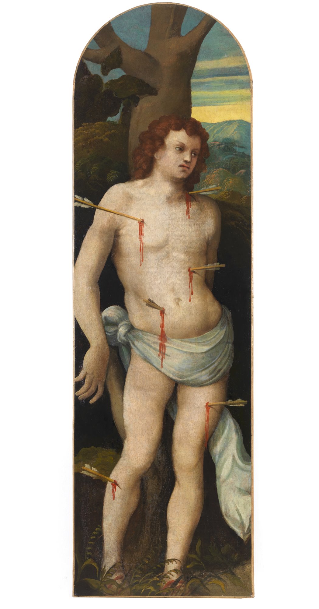Zenone Veronese  (Verona, 1484 - Salò di Brescia, 1542 c.)